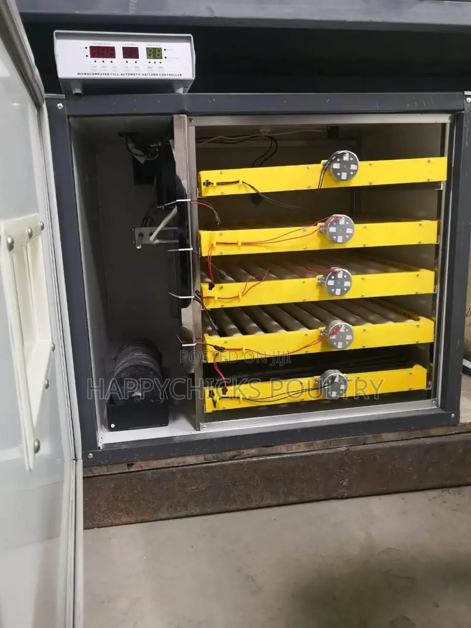 Ac/Dc 300 Egg Incubators