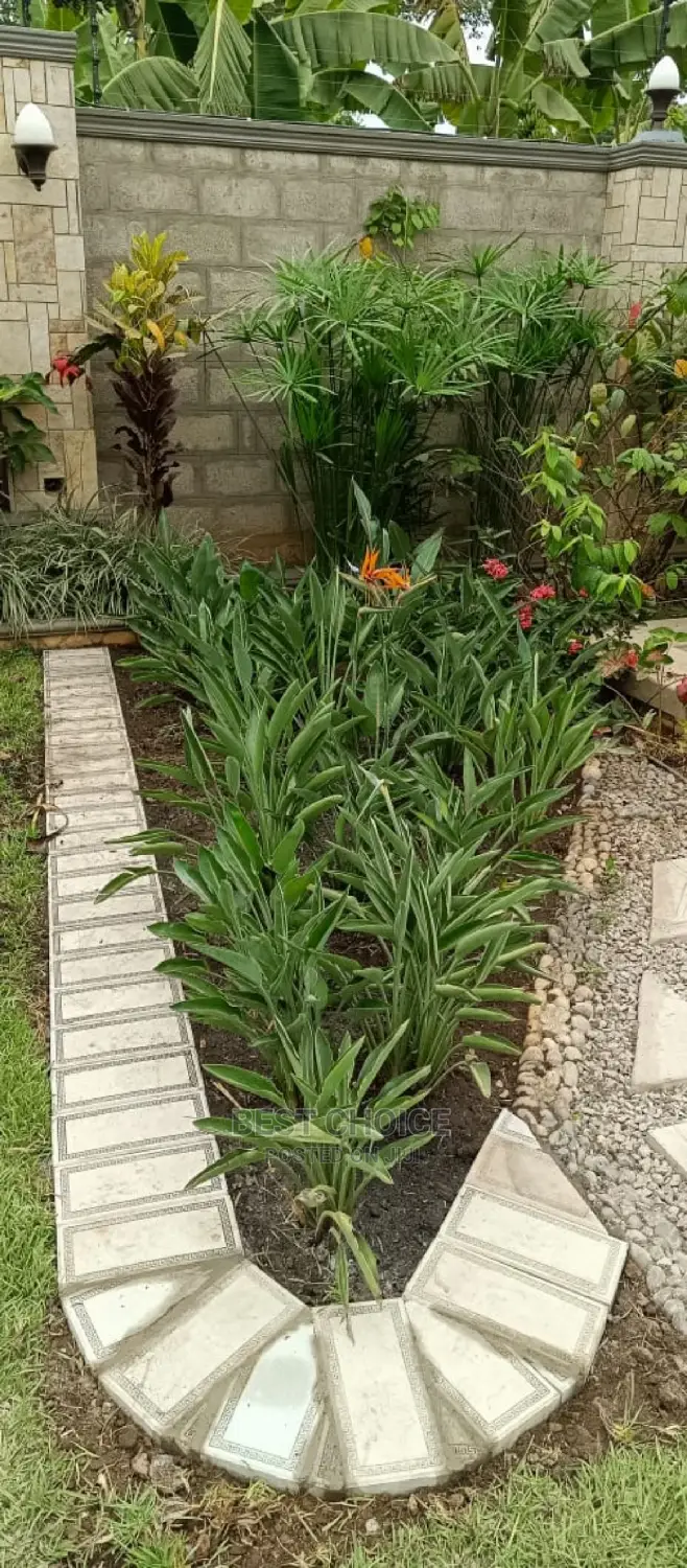 Kampalas Best Compound Designing and Land Scaping Services.
