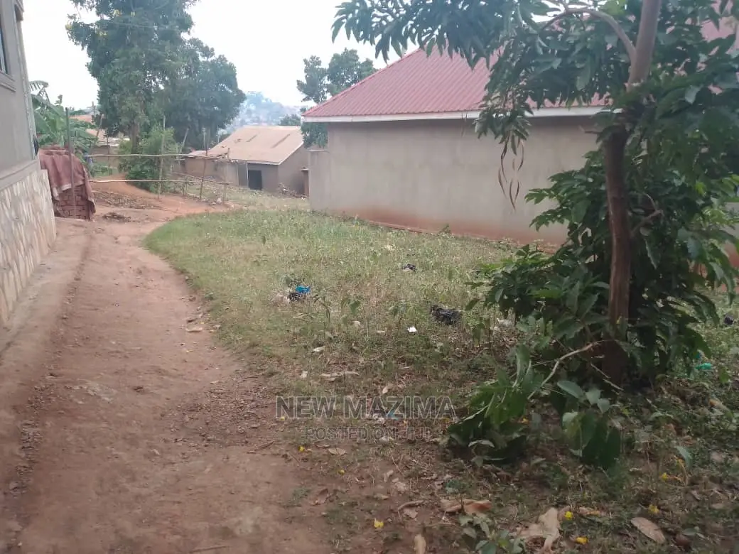 Gangu Town Affordable Plot Quicksale at Very Give Away Price