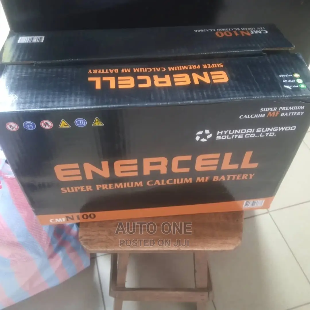 N100 Enercell Batteries.