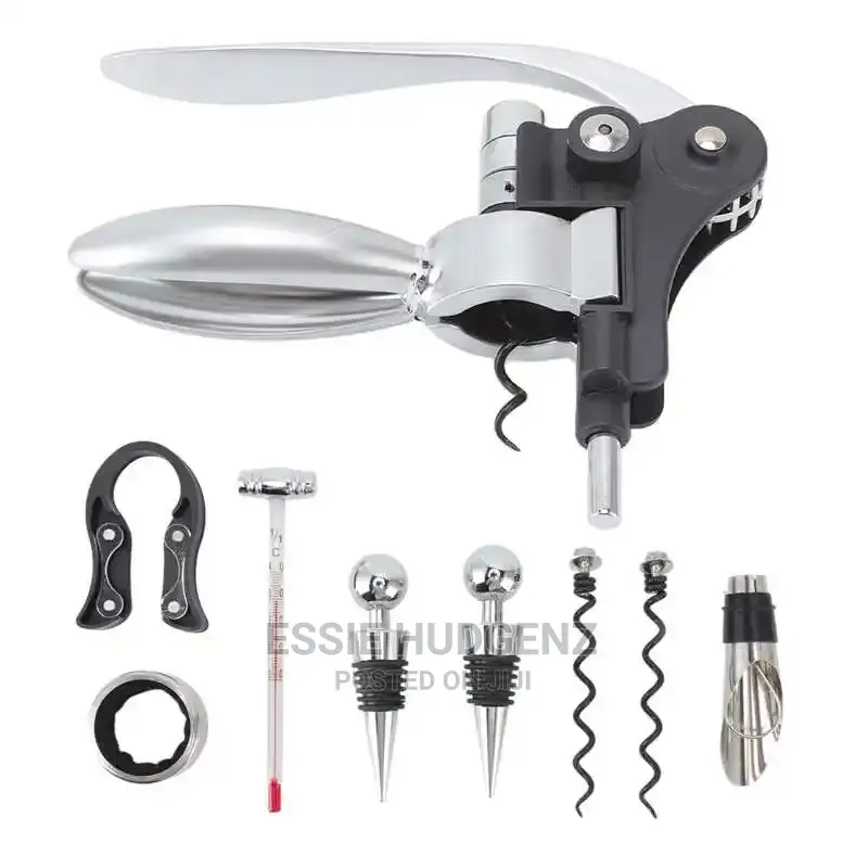 Corkscrew Wine Opener Gift Set