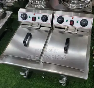 Double Electric Deep Fryer