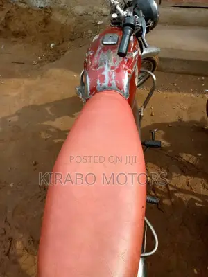 Bajaj Boxer 2019 White