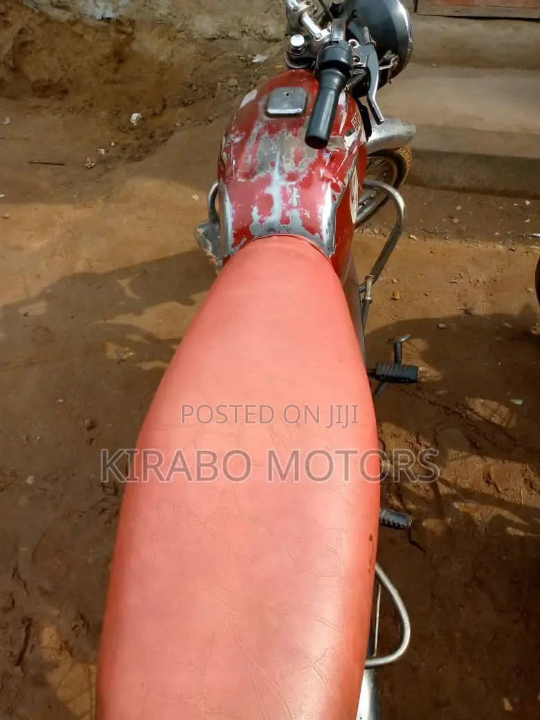 Bajaj Boxer 2019 White