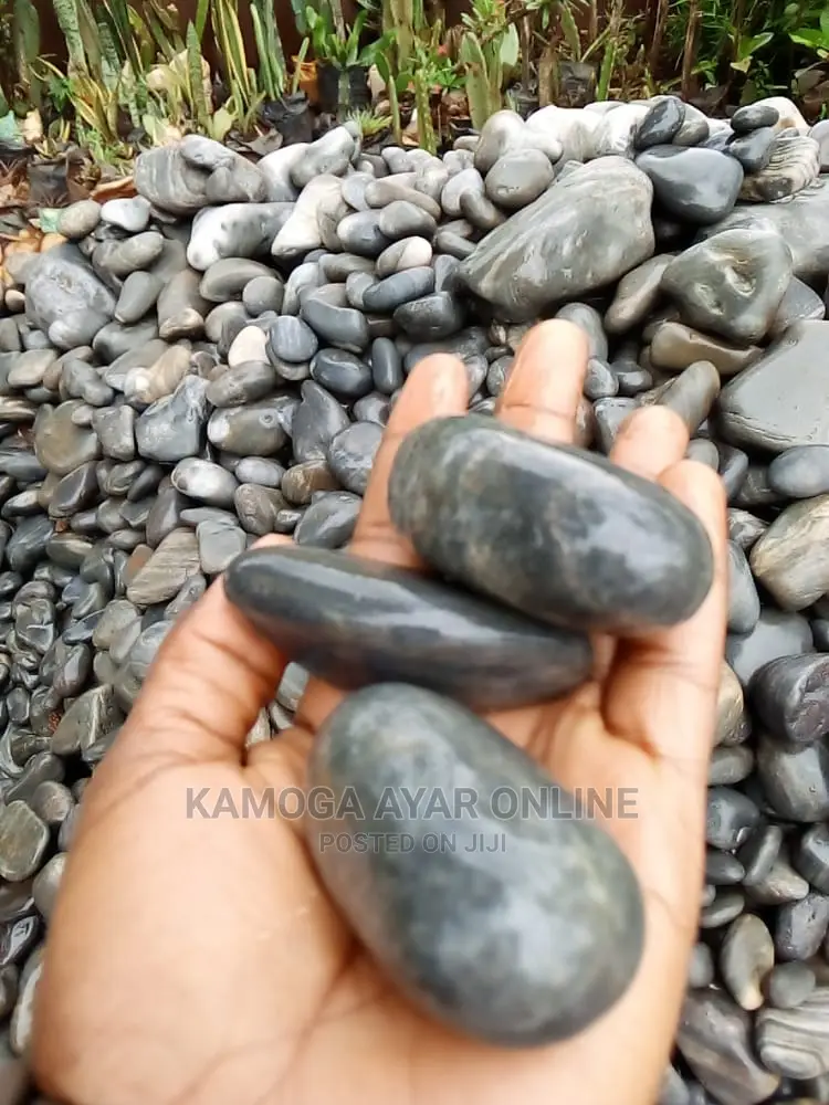 Black Beach White and Black Stones