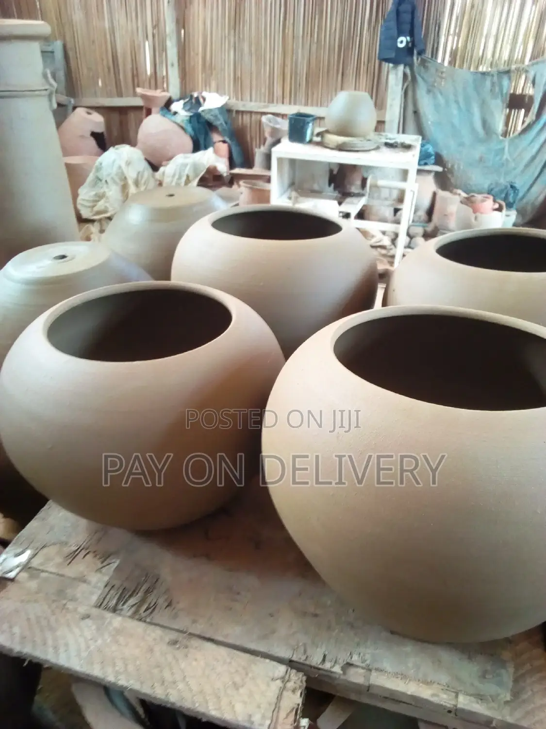 The Life of Flowers (Flower Pots)