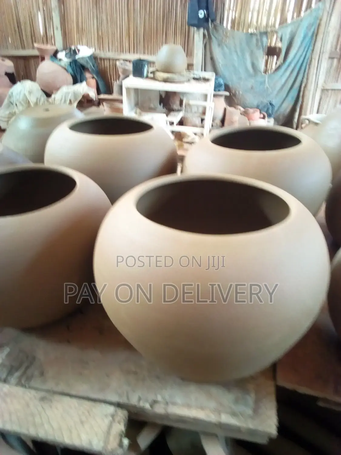 The Life of Flowers (Flower Pots)