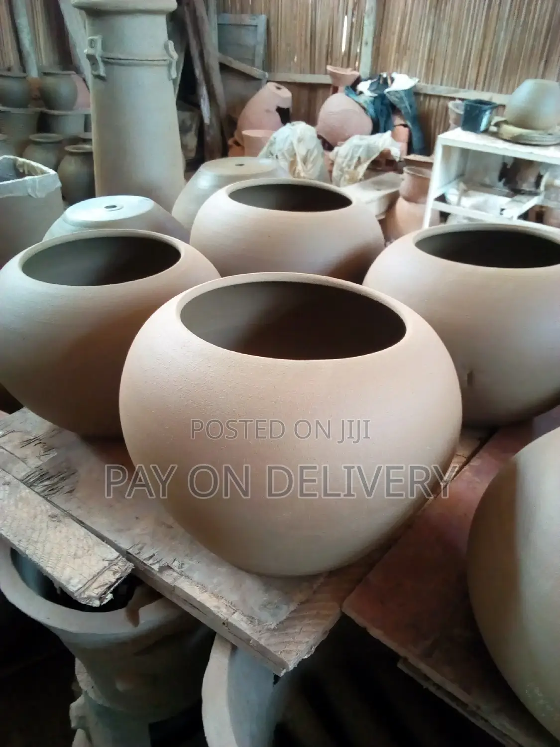 The Life of Flowers (Flower Pots)