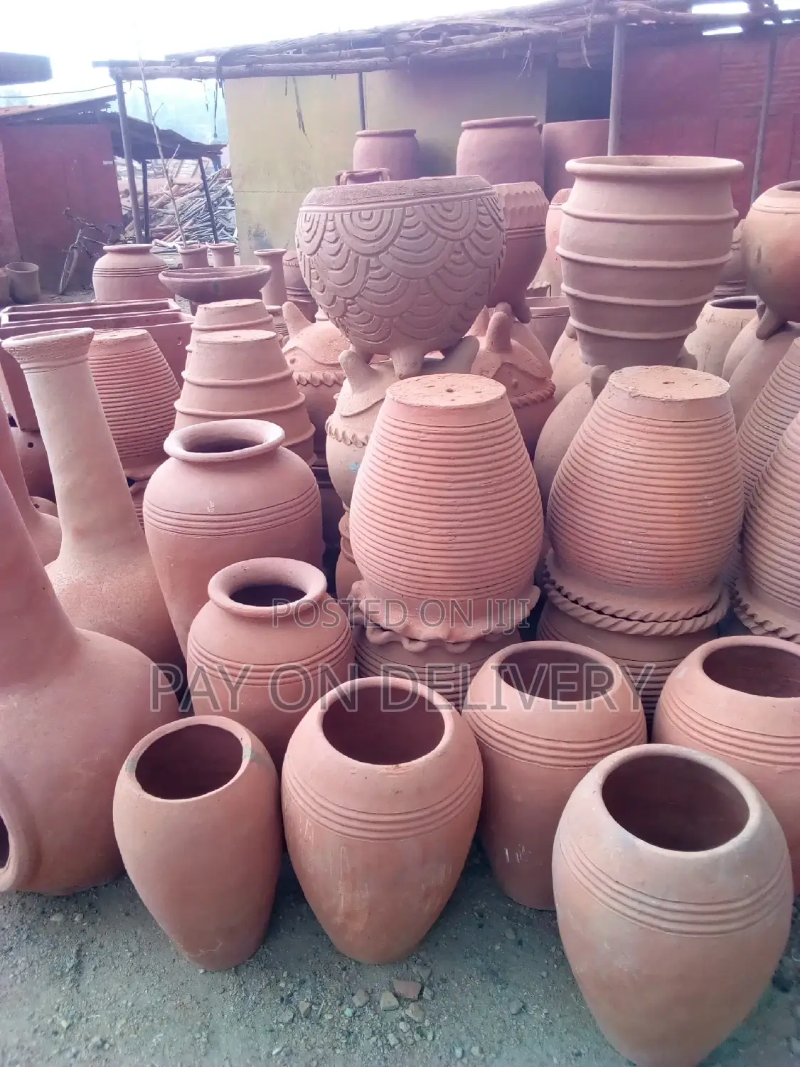 The Life of Flowers (Flower Pots)