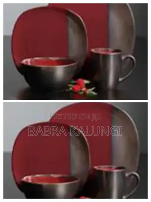 24 Pieces Dinner Set.