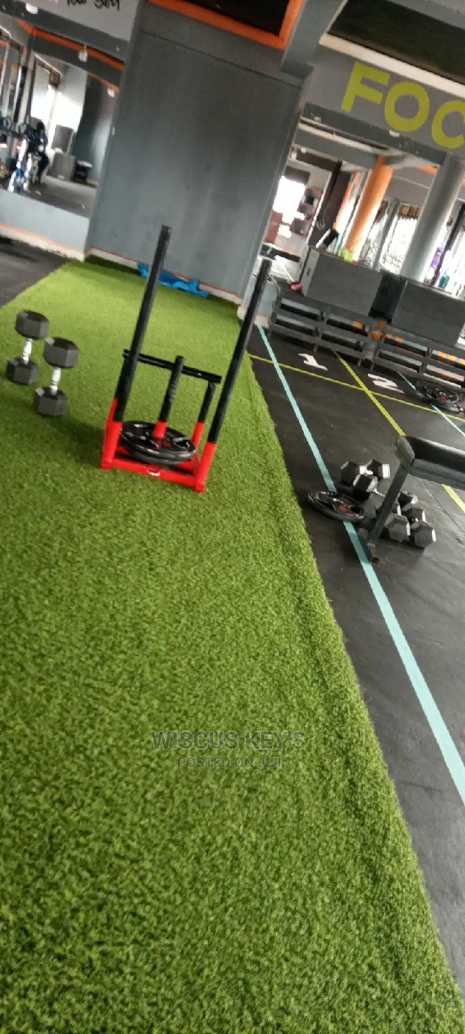 Dumbbell/ Barbells