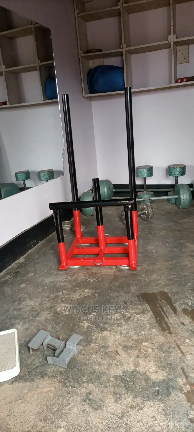 Dumbbell/ Barbells