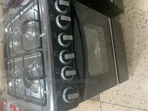 Electric Auto Cooker and Gas Plates