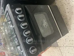 Electric Auto Cooker and Gas Plates