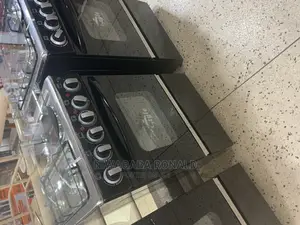 Electric Auto Cooker and Gas Plates