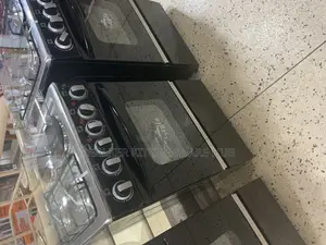 Electric Auto Cooker and Gas Plates