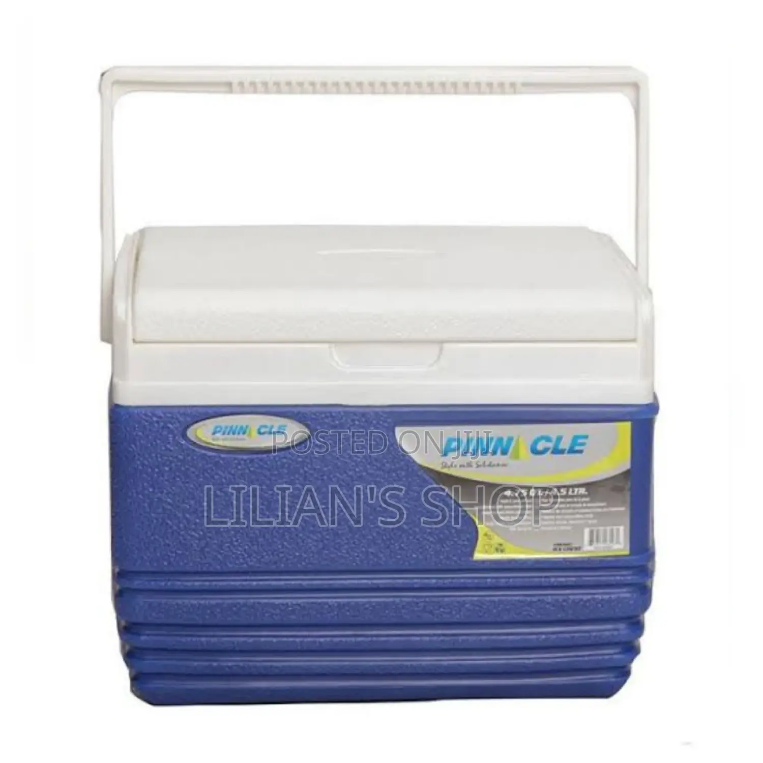 Pinnacle 4.5 Litres Ice Box