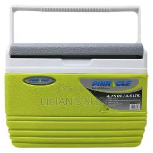 Pinnacle 4.5 Litres Ice Box