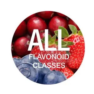 Flavonoid Complex - 60 Tablets