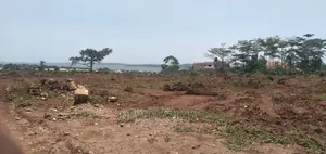 Kawuku Ntebe Rd Affordable Plots With Clear Lake View Onsale
