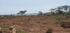 Kawuku Ntebe Rd Affordable Plots With Clear Lake View Onsale