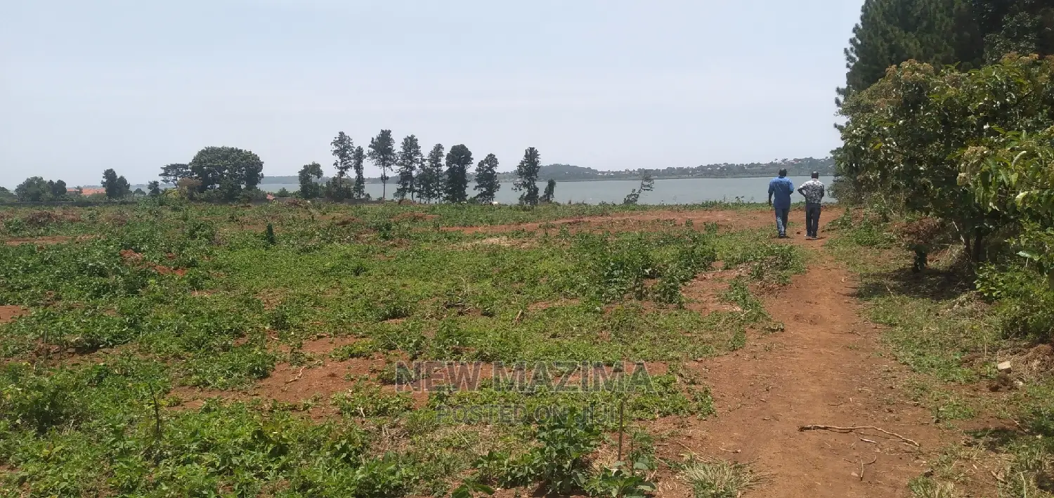 Kawuku Ntebe Rd Affordable Plots With Clear Lake View Onsale