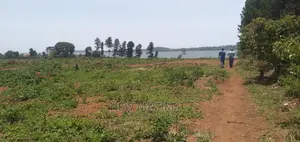 Kawuku Ntebe Rd Affordable Plots With Clear Lake View Onsale
