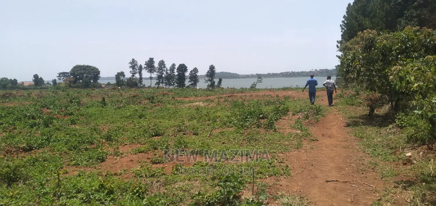 Kawuku Ntebe Rd Affordable Plots With Clear Lake View Onsale