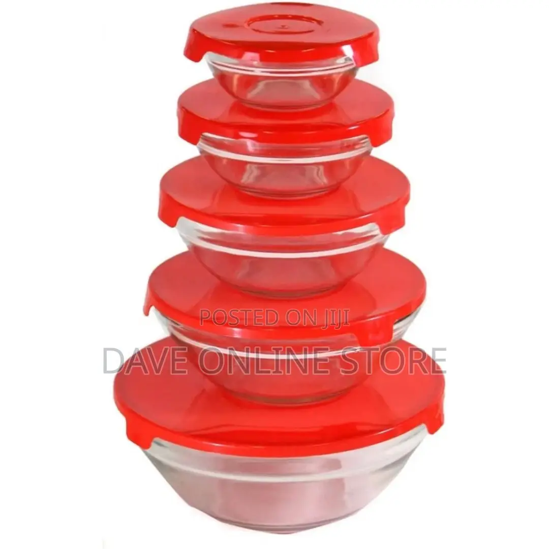 5 Piece Glass Bowl Set With Matching Plastic Lids