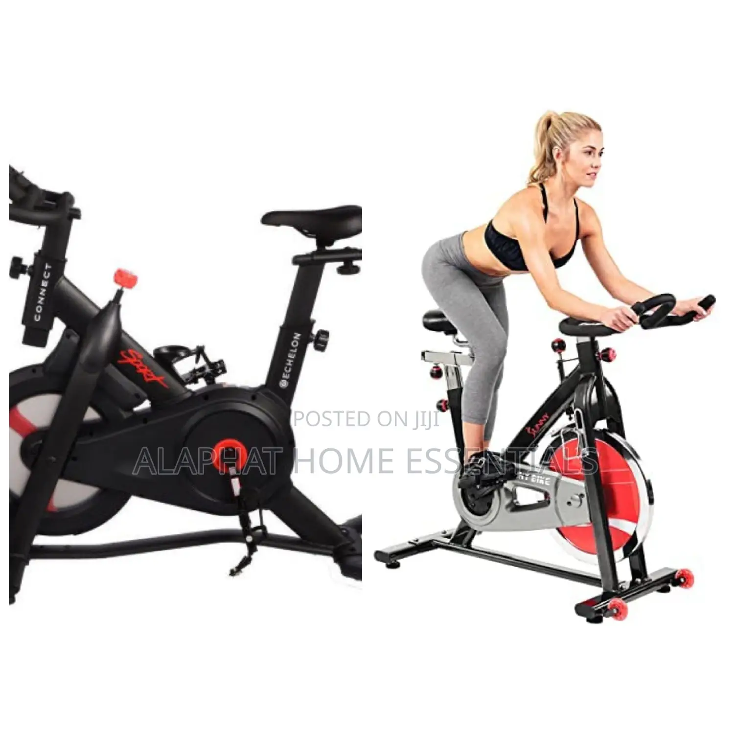 Spin Exercise Bike