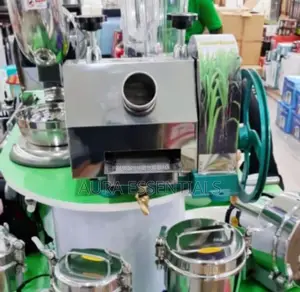 Sugarcane Juicer Manual Machine