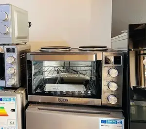 Mini Cooker