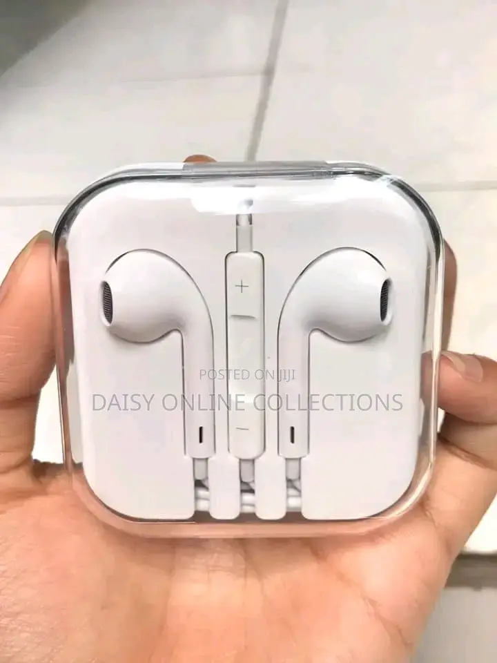 Apple Big Pin Headsets