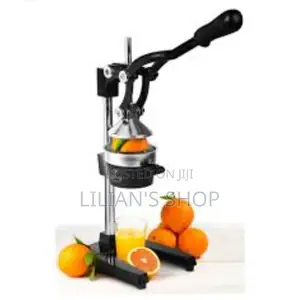 Commercial Fruit Juice Squeezer