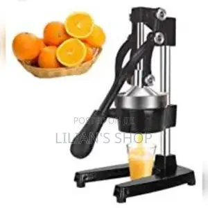 Commercial Fruit Juice Squeezer