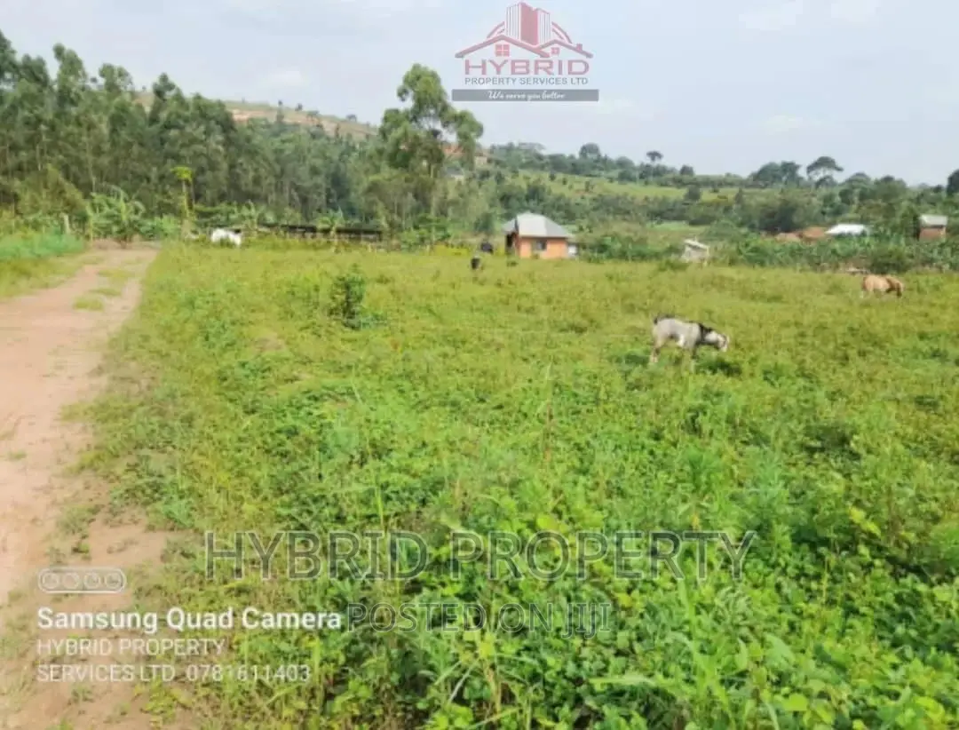 Prime Plots for Sale at Our Bukalango~Wakiso Along Hoima Rd.