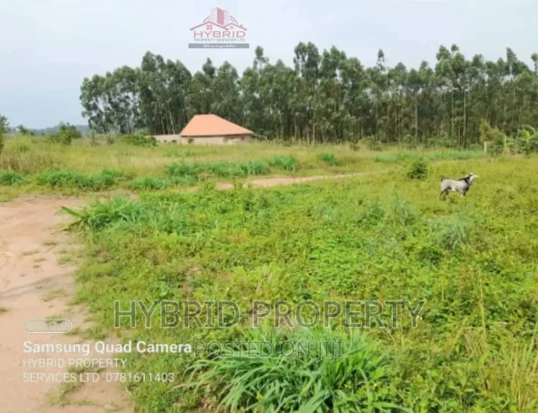 Prime Plots for Sale at Our Bukalango~Wakiso Along Hoima Rd.