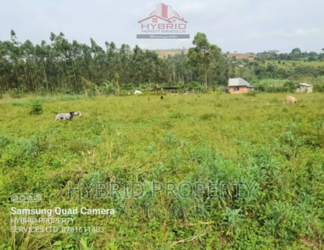 Prime Plots for Sale at Our Bukalango~Wakiso Along Hoima Rd.