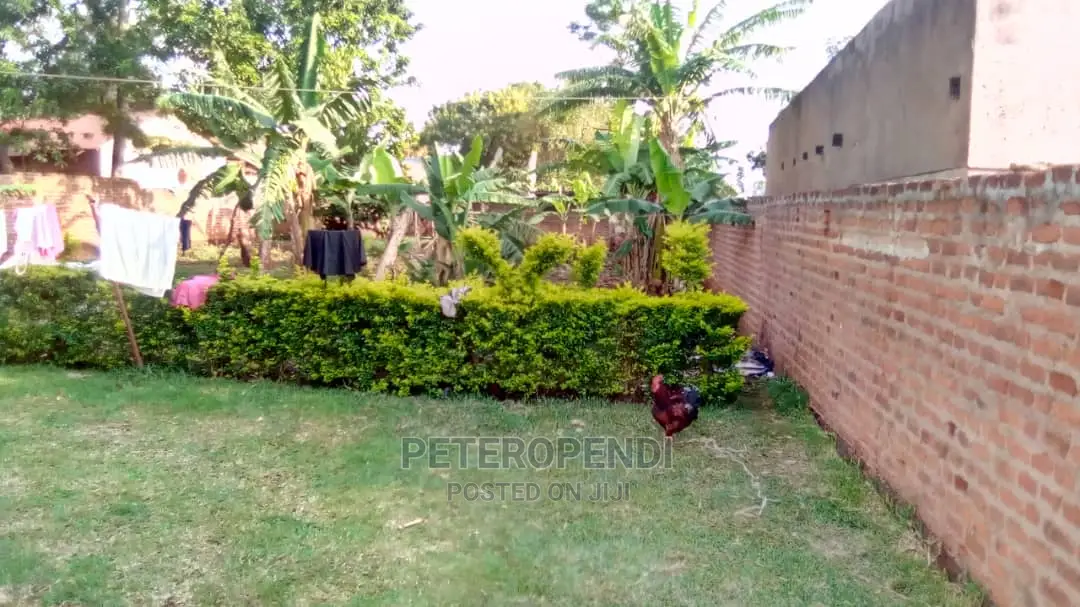 4bdrm Bungalow in Tororo for Sale