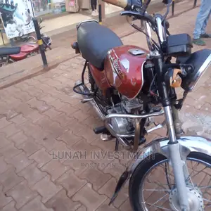 Bajaj Boxer 2019 Purple
