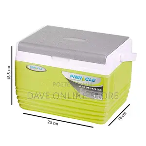 Pinnacle Ice Cooler Box With Soft Touch Handle 4.5 Litres.