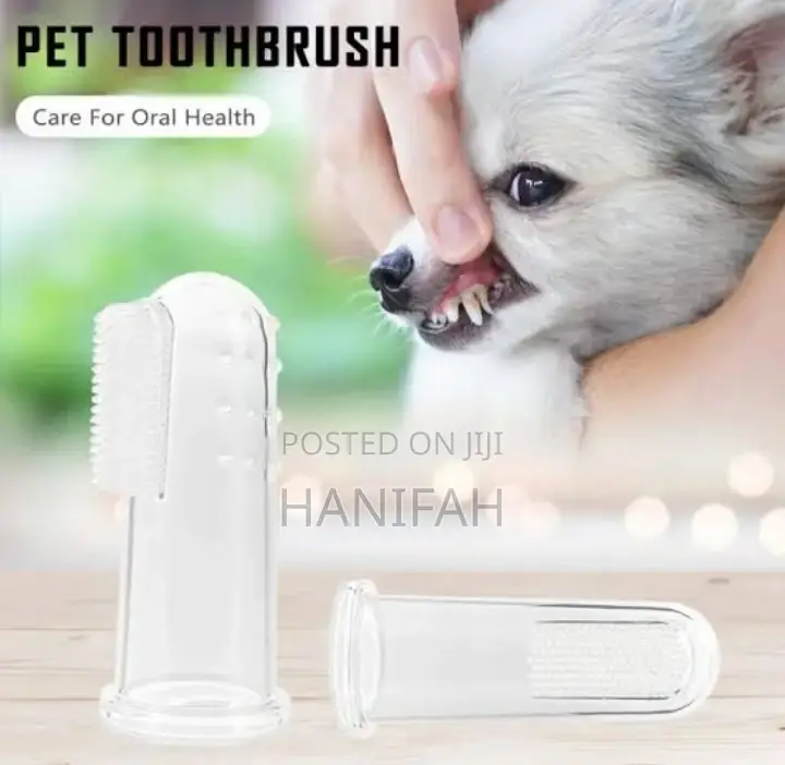 Pet Toothbrush