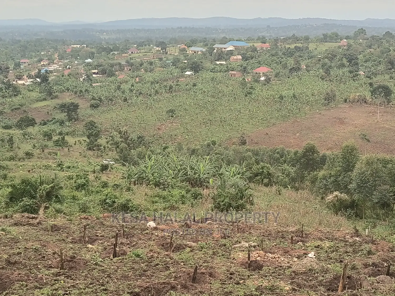 20 Plots 50X100 With Good Town View on Bombo Rd, Kalule T/N
