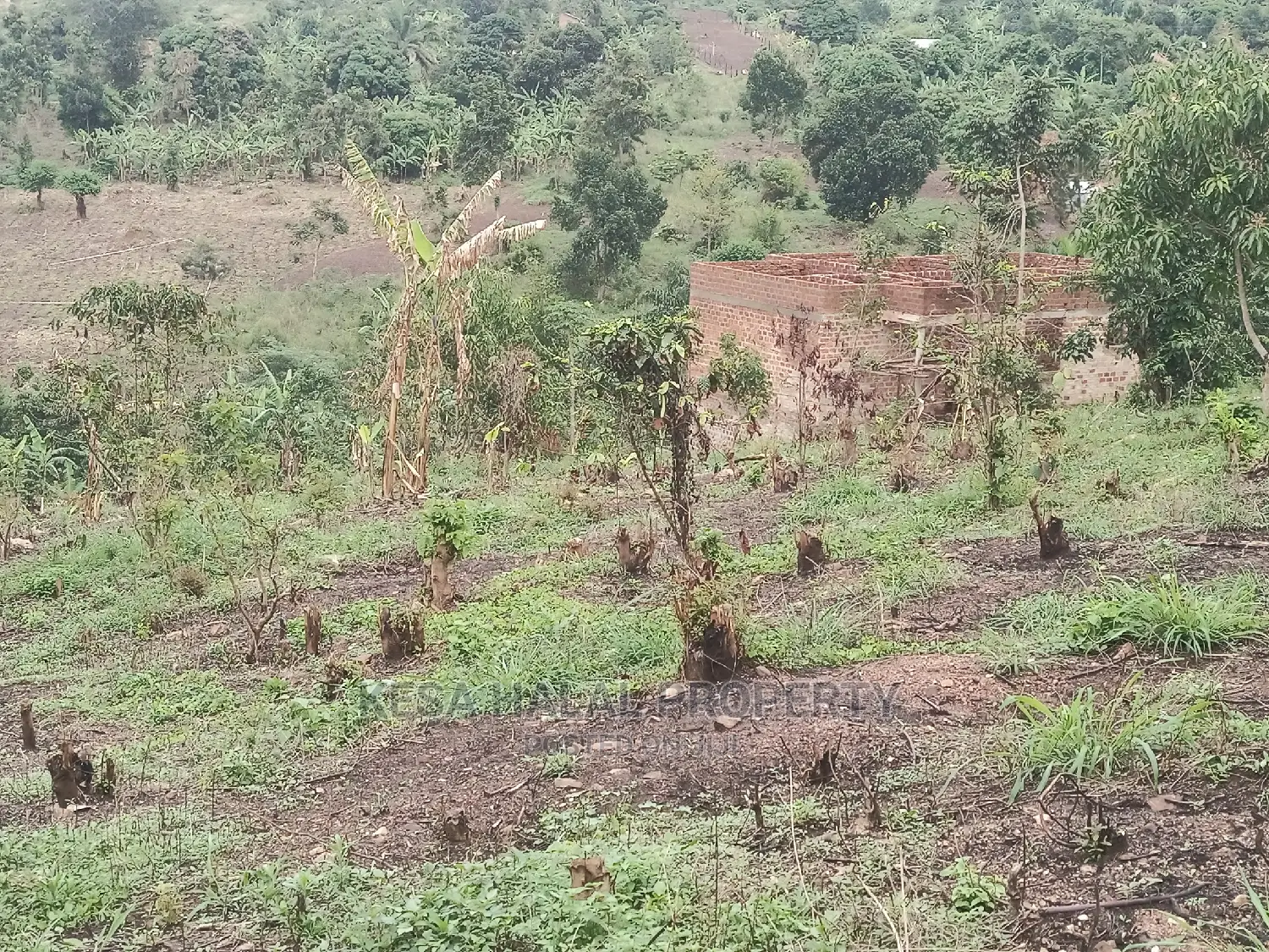 20 Plots 50X100 With Good Town View on Bombo Rd, Kalule T/N