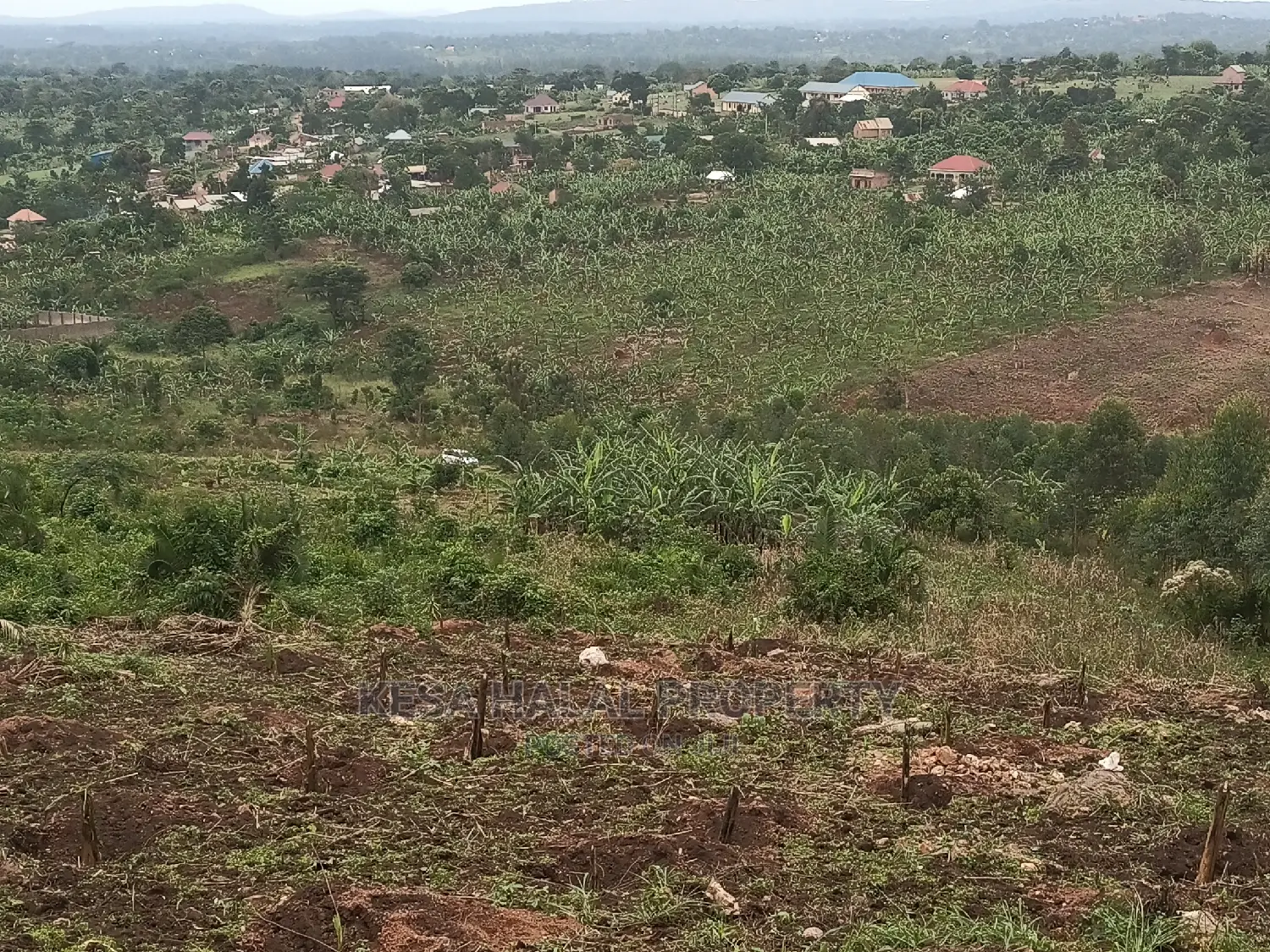 20 Plots 50X100 With Good Town View on Bombo Rd, Kalule T/N