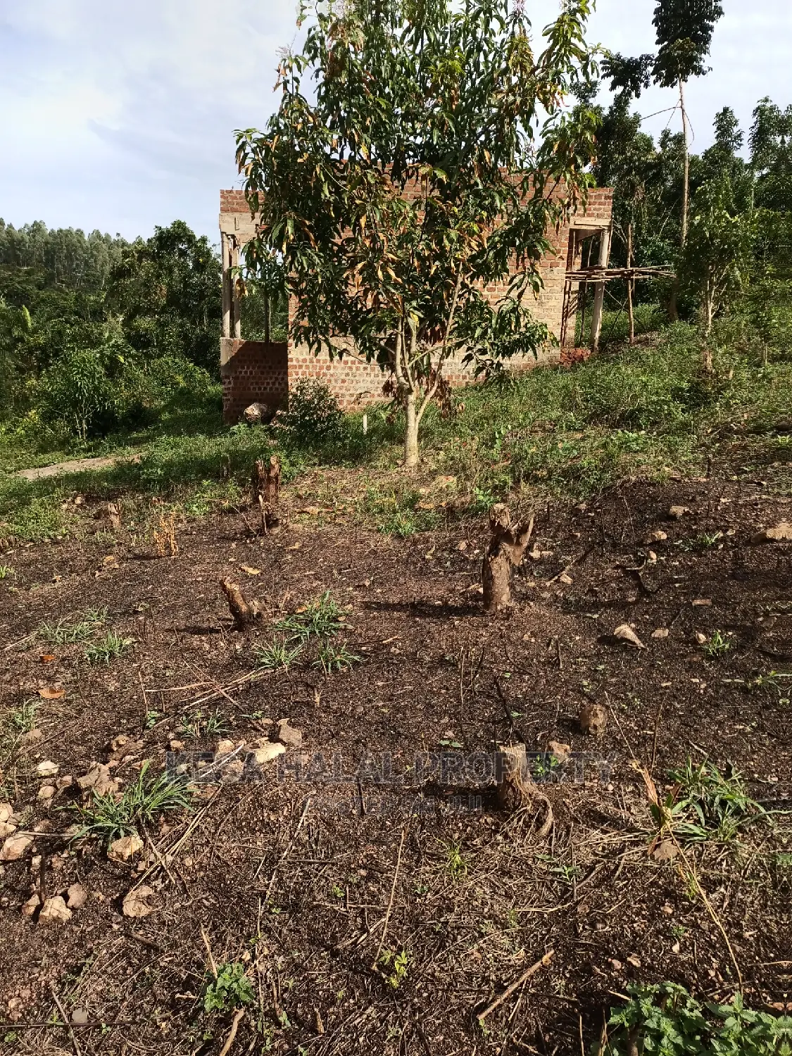 20 Plots 50X100 With Good Town View on Bombo Rd, Kalule T/N