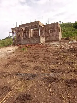 20 Plots 50X100 With Good Town View on Bombo Rd, Kalule T/N