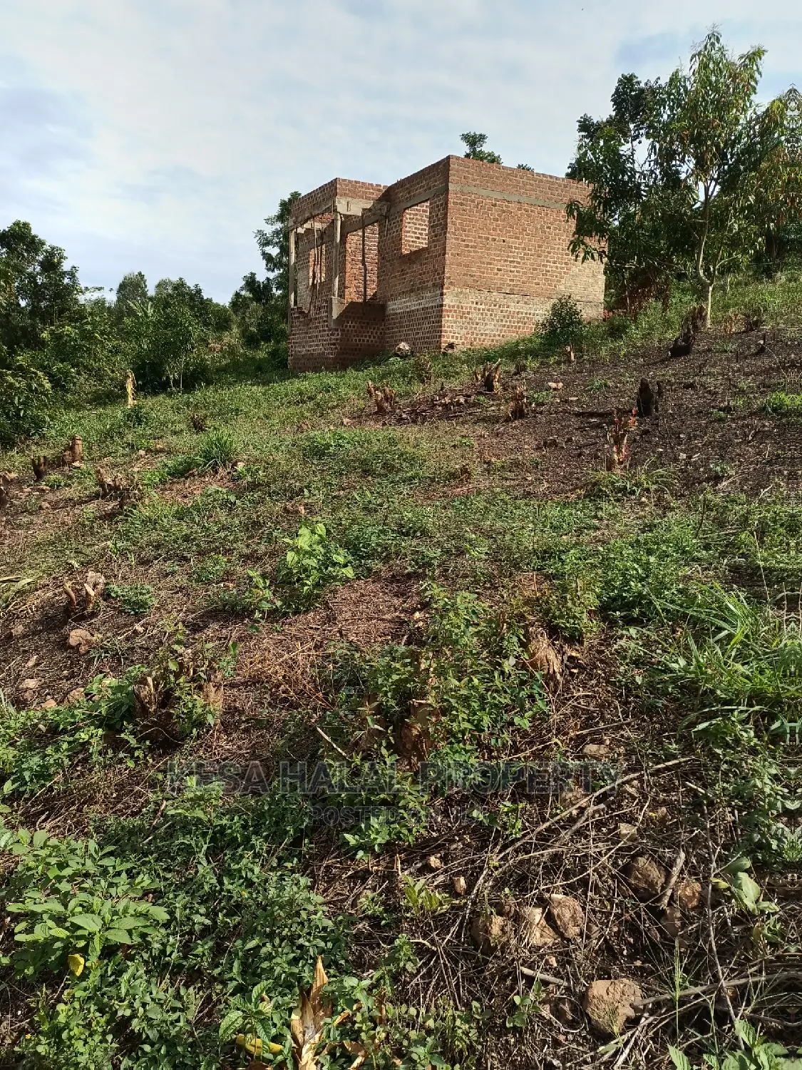 20 Plots 50X100 With Good Town View on Bombo Rd, Kalule T/N