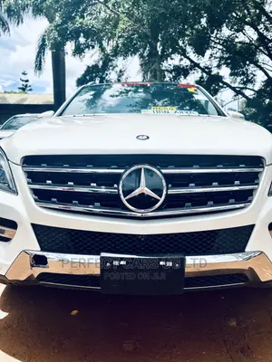 Photo - Mercedes-Benz M Class 2014 White