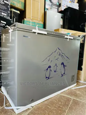 Hisense 400L Deep Freezer